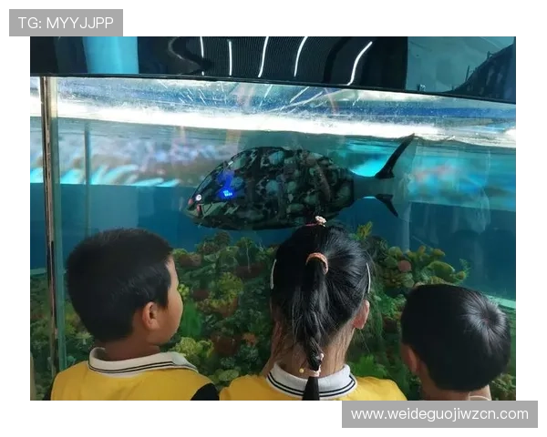 博鱼体育用户体验提升策略：打造更流畅更安全的体育博彩环境