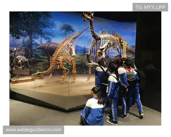 光速体育助力青少年健康成长的科学运动方案与实践案例分享