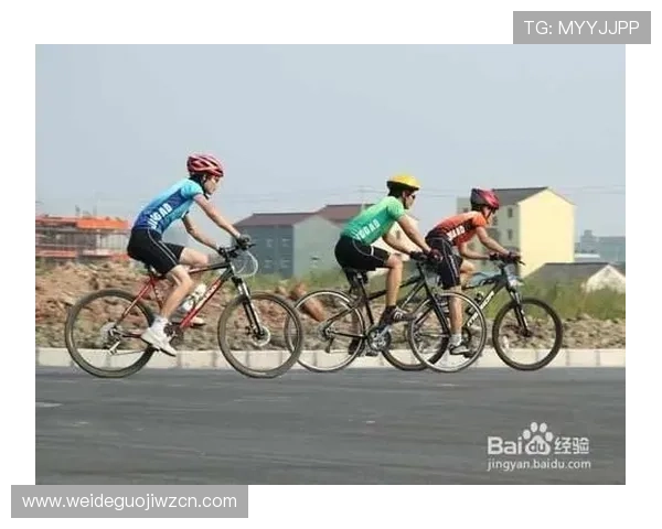 解决333体育客户端常见登录问题的实用技巧与详细操作指南