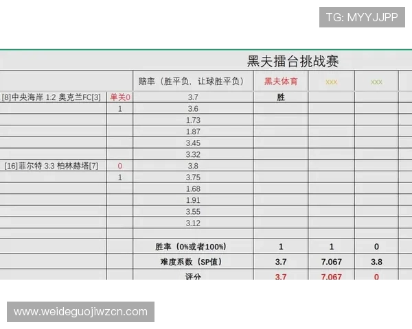 使用浩瀚体育手机版轻松参与体育竞猜活动，体验刺激的体育娱乐新方式