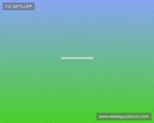 比利时队在世界杯中的焦点比赛回顾与球队核心表现总结